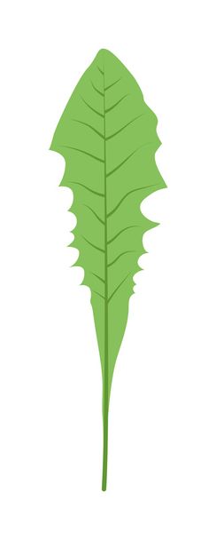 Leaf icon vector illustration. - Διάνυσμα, εικόνα