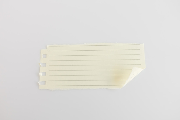 Blank note paper with soft shadows. - Фото, зображення