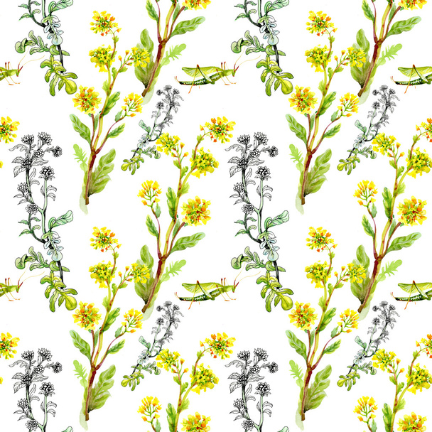 Pattern with yellow flowers and grasshoppers  - Foto, immagini