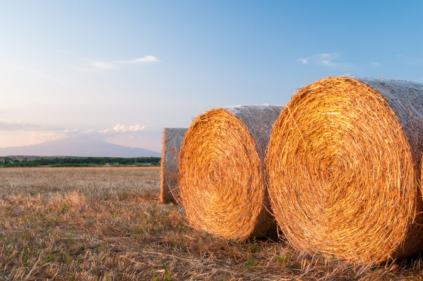 Round straw bales - Fotografie, Obrázek
