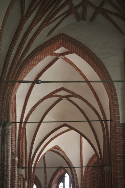 Rižská katedrála dóm  - Fotografie, Obrázek