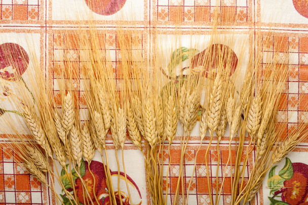 Weizen auf Tischdecke - Foto, Bild