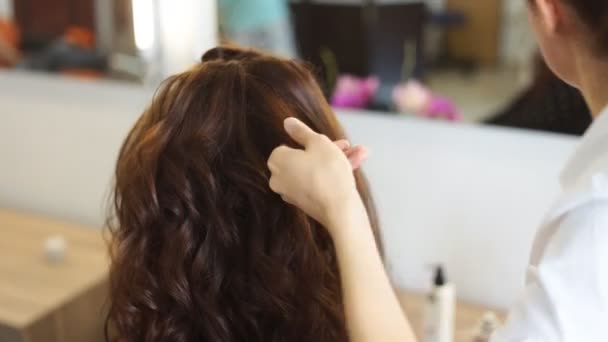 Młoda kobieta i fryzjera z żelaza włosów Dokonywanie fryzurę w hair salon - Materiał filmowy, wideo