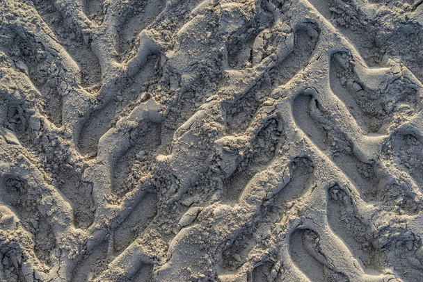 jalanjäljet hiekassa - Valokuva, kuva