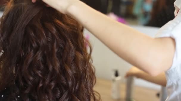 mujer joven y peluquería con plancha para el cabello haciendo peinado en el salón de belleza
 - Imágenes, Vídeo