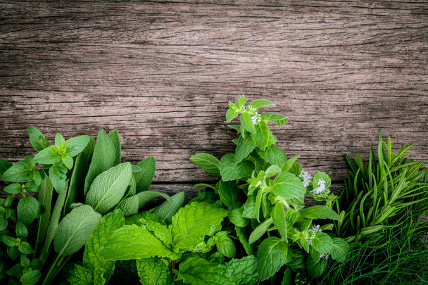 Various aromatic herbs and spices from garden green mint, fenne
 - Фото, изображение
