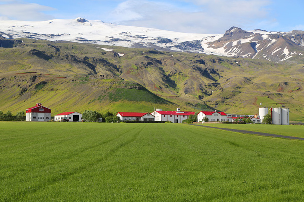 Typical farm in Iceland - Фото, изображение