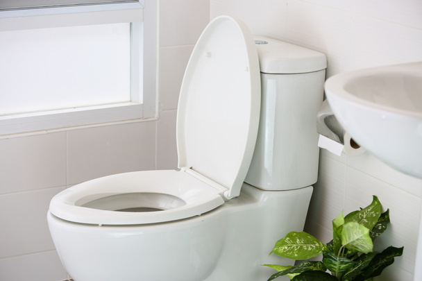 valkoinen wc modernissa kodissa, valkoinen wc-kulho puhdistushuoneessa, huuhteluneste wc: ssä, oma wc modernissa huoneessa, sisustuslaitteet ja moderni wc, puhdistus wc
. - Valokuva, kuva