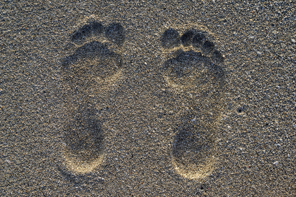 footprint on the sand - Photo, Image