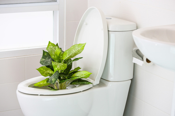 white toilet in modern home, white toilet bowl in cleaning room, flushing liquid in toilet, private toilet in modern room, interior equipment and modern restroom, cleaning toilet. - Photo, Image
