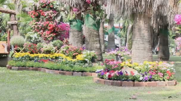 Wood swing in the flowers garden, HD vdo. - Footage, Video
