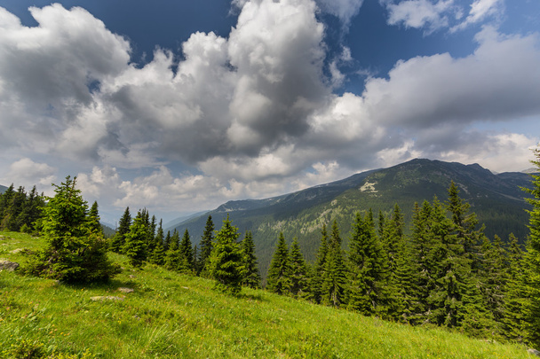 Beautiful mountain scenery in the Transylvanian Alps - Photo, image