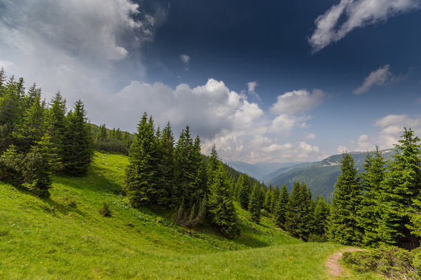 Pięknej górskiej scenerii w Alpach Transylwanii - Zdjęcie, obraz