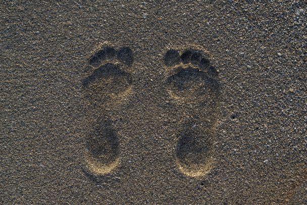 Kumda ayak izi - Fotoğraf, Görsel