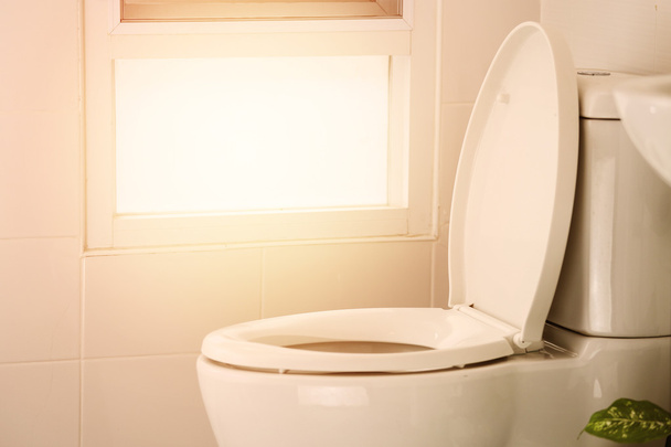 белый унитаз в современном доме, белый унитаз в уборной, жидкость в туалете, отдельный туалет в современной комнате, внутреннее оборудование и современный туалет, уборка туалета
. - Фото, изображение
