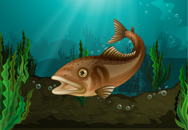 水中の魚 - ベクター画像