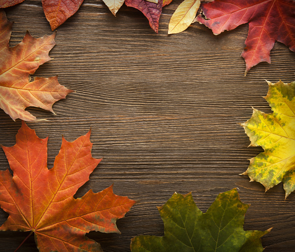 autumn leaf on wood background - Photo, Image