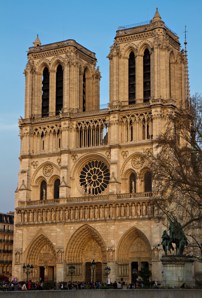 Notre Damen katedraali illalla auringossa
 - Valokuva, kuva