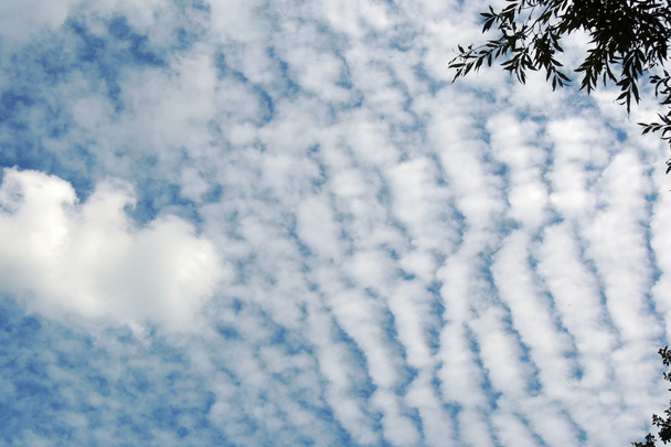 Mavi Gökyüzü ve Bulutlar - Fotoğraf, Görsel