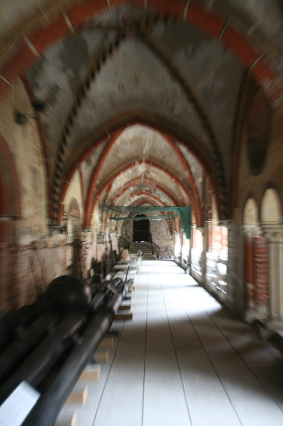 Kathedraal van Riga dome - Foto, afbeelding