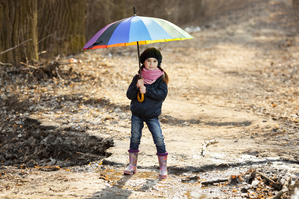 Chica con paraguas multicolor en el parque de otoño
 - Foto, imagen
