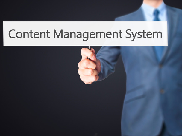 Content Management System - üzletember mutató jel - Fotó, kép