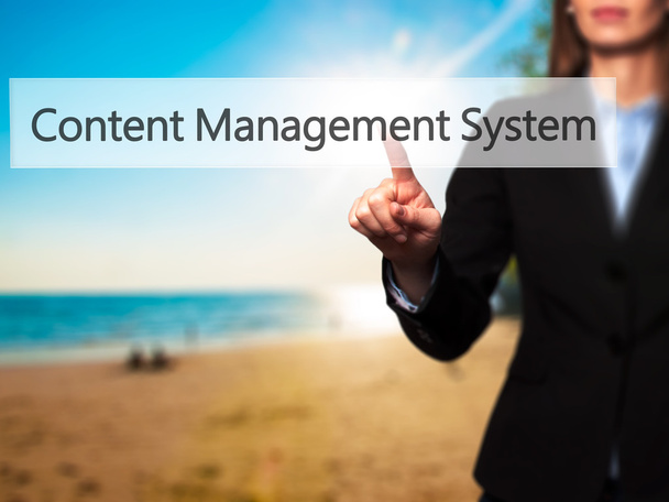 Content Management System - erfolgreiche Geschäftsfrau nutzt  - Foto, Bild