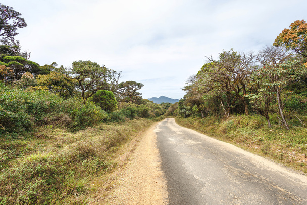 Carretera en el Parque Nacional Horton Plains, Sri Lanka
. - Foto, Imagen