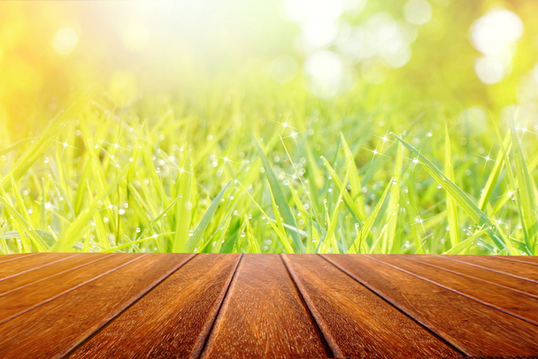 wooden table perspective on nature field of green grass texture in the morning - Photo, Image