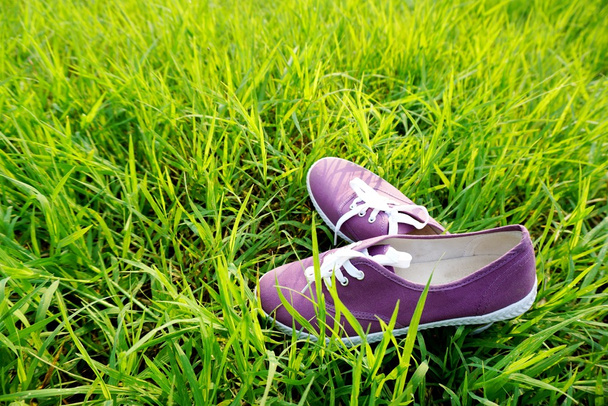 zapatos de color púrpura en la naturaleza hierba verde por la mañana
 - Foto, imagen