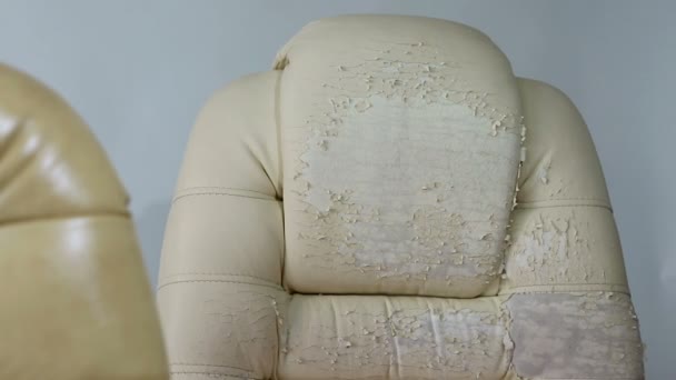 Old and New Crannied Office Boss Chair (armchair). Grown old upholstery. Restoration - Footage, Video
