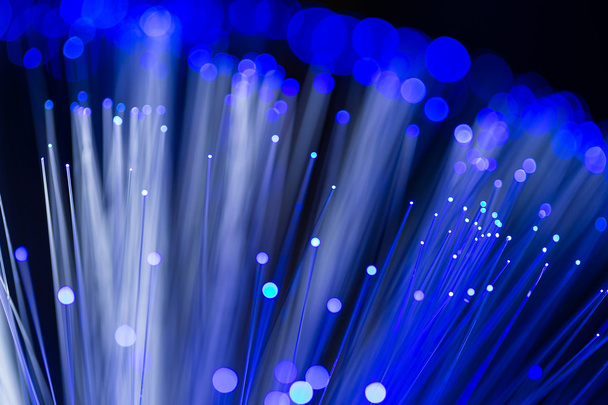 Fiber optical network cable - Valokuva, kuva
