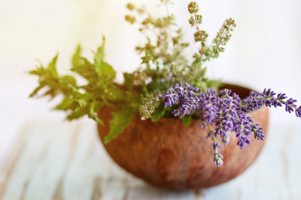 Bouquet of garden herbs - Fotoğraf, Görsel