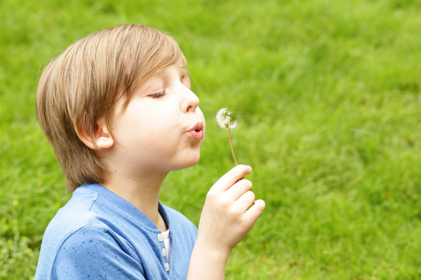 cute blond boy sitting on green grass and blows away dandelion - Photo, Image