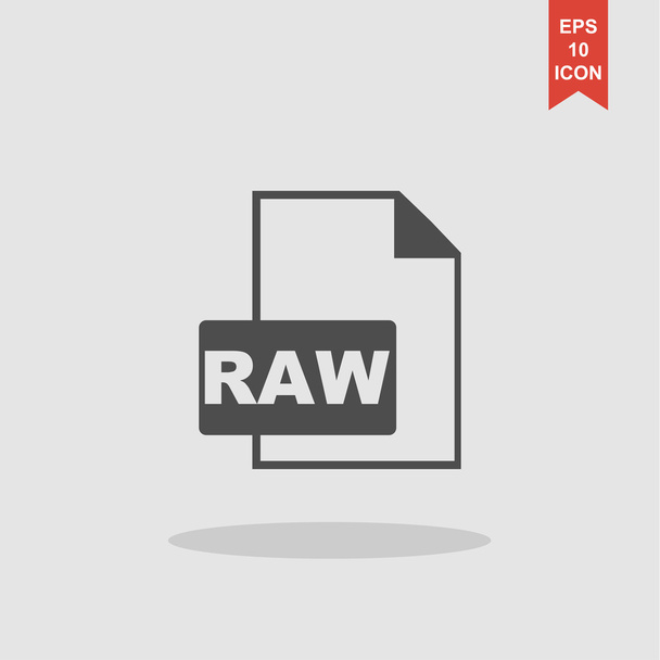 RAW Icon. Vector concept illustration for design - Vector, Image