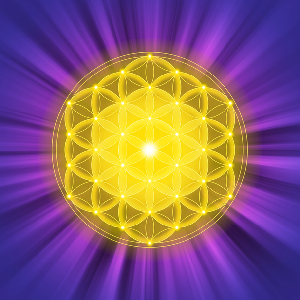 Bright golden Flower of Life on purple light rays - Photo, Image