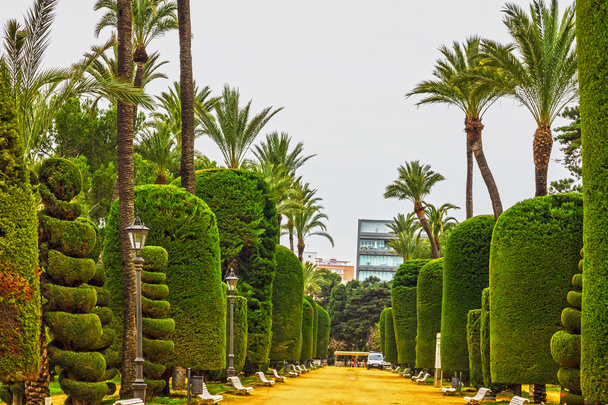 zöld park, Cádiz, Spanyolország. Genovese kert - Fotó, kép