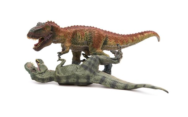 dois brinquedos tiranossauros sobre um fundo branco, um de pé e o outro estabelece
 - Foto, Imagem