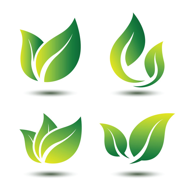leaf symbol vector - Vector, Image