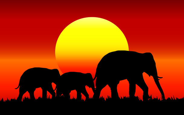 Silhouette des Elefanten mit Sonnenuntergang. - Vektor, Bild