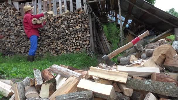 Τύπος κήπου εργαζόμενος άνθρωπος στοίβα ψιλοκομμένο καυσόξυλα κοντά woodshed. 4k - Πλάνα, βίντεο