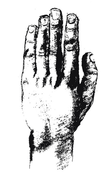 mão desenhada mão
 - Vetor, Imagem