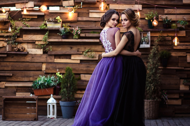 Portrait of beautiful twins young women in gorgeous evening dresses - Foto, afbeelding