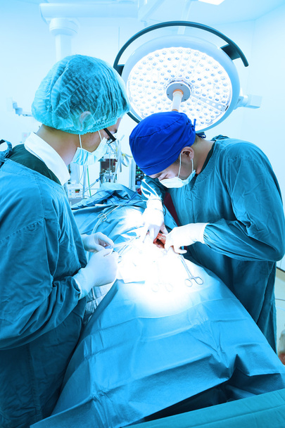 two veterinarian surgeons in operating room  - Fotó, kép