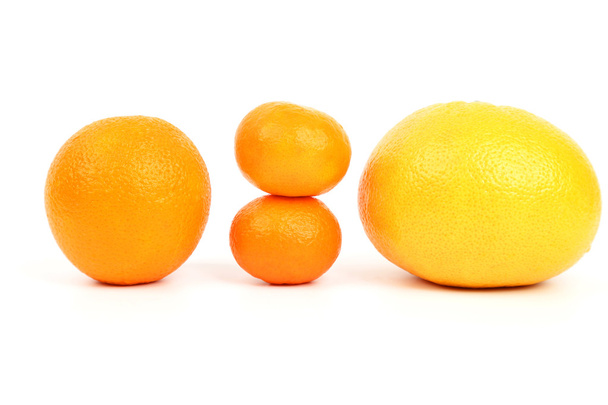 citrus fruits on white background - Fotó, kép