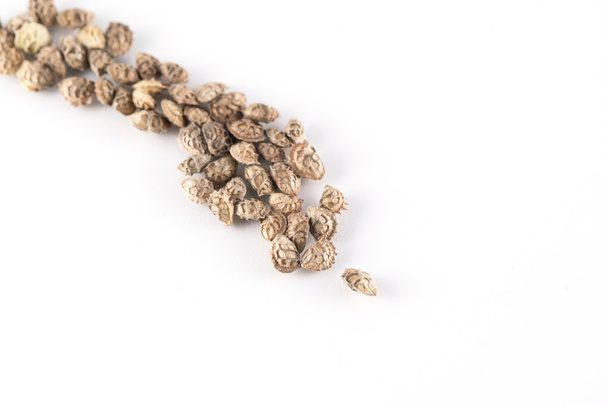 Lupinella seeds on white background - Photo, image