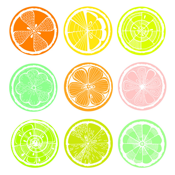 Lemon, orange and grapefruit on white background. Hand-drawn citrus. Stylized graphics. - Vetor, Imagem