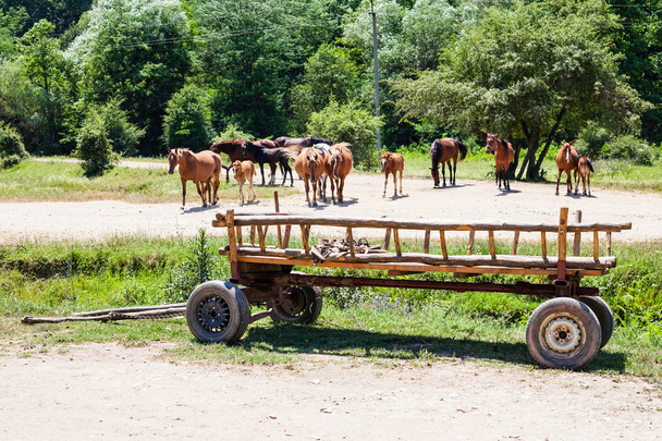 rural landscape with horses and wooden cart - Photo, Image