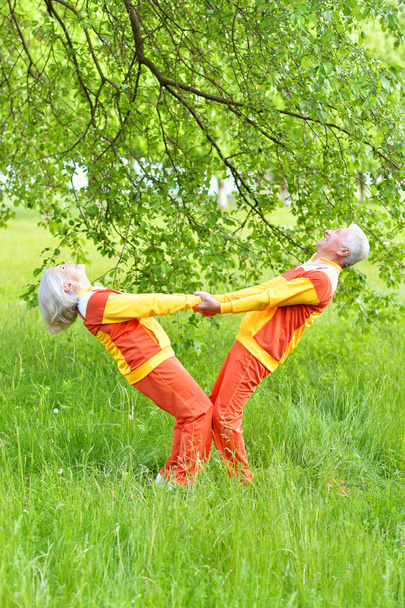 fit senior couple exercising - Fotó, kép