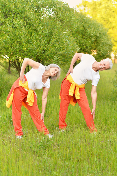 fit senior couple exercising - Fotoğraf, Görsel